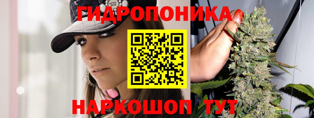 Шишки марихуана ГИДРОПОН  Вход с VPN  Шишки марихуана план  Мирный 