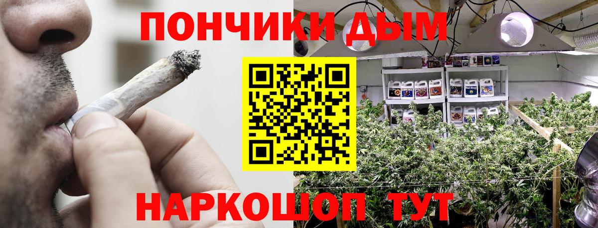 Бошки марихуана план Мирный